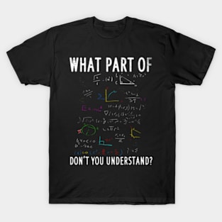 W P Of Dont You Understand For Math Teacher T-Shirt